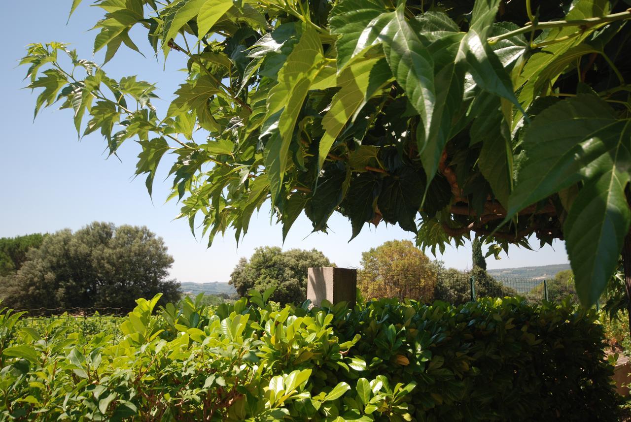 Apartmán Le Grand Barsan Vaison-la-Romaine Exteriér fotografie